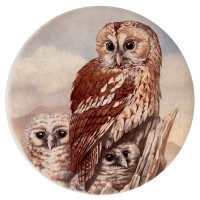 Ceramic Tile Tawny Owl