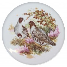 Ceramic Tile Partridge