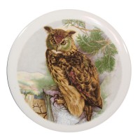 Long Earred Owl