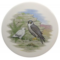 Ceramic Tile Falcon